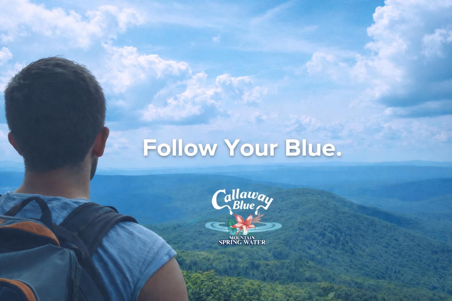 Callaway Blue Spring Water, 0.5L, Low Mineral 31 ppm TDS, 24 Pack, view 6
